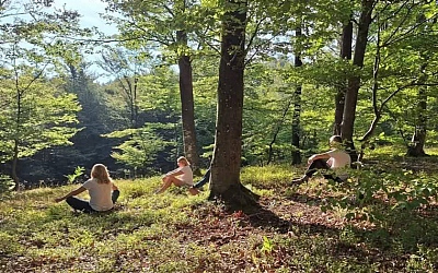 Forest bathing as medical wellness: Radoboj is creating new value in health tourism