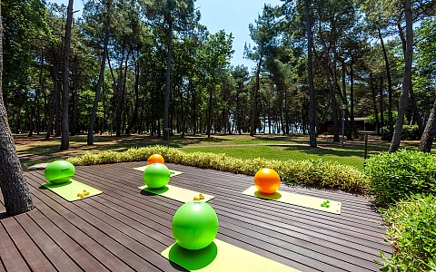 Hotel Pelegrin Plava Laguna  - Umag - Activities - Entertainment