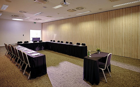 Terme Sveti Martin  - Sveti Martin na Muri - Meeting rooms