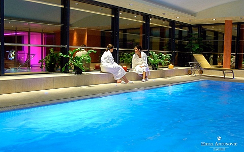 Hotel Antunović Zagreb - Zagreb - Pool
