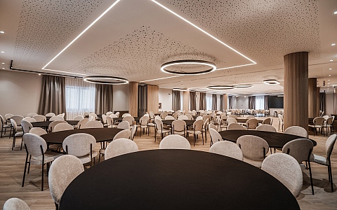 Diaco Boutique Hotel - Đakovo - Meeting rooms