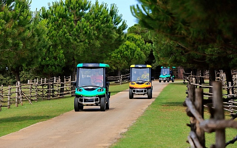 Hotel Istra - Neptun - National park Brijuni - Brijuni - Activities - Entertainment