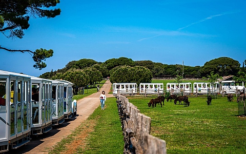 Hotel Istra - Neptun - National park Brijuni - Brijuni - Activities - Entertainment